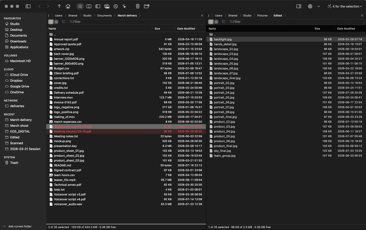 The first two files appear marked in red in the left panel, and the status bar says two are selected.