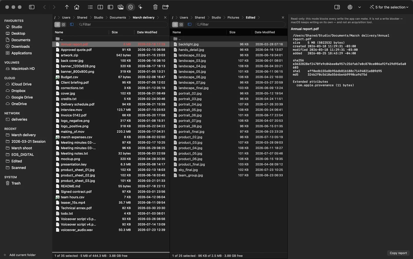 Inspect mode: both panes and, on the right, the file's report with its digests, its dates and its extended attributes.