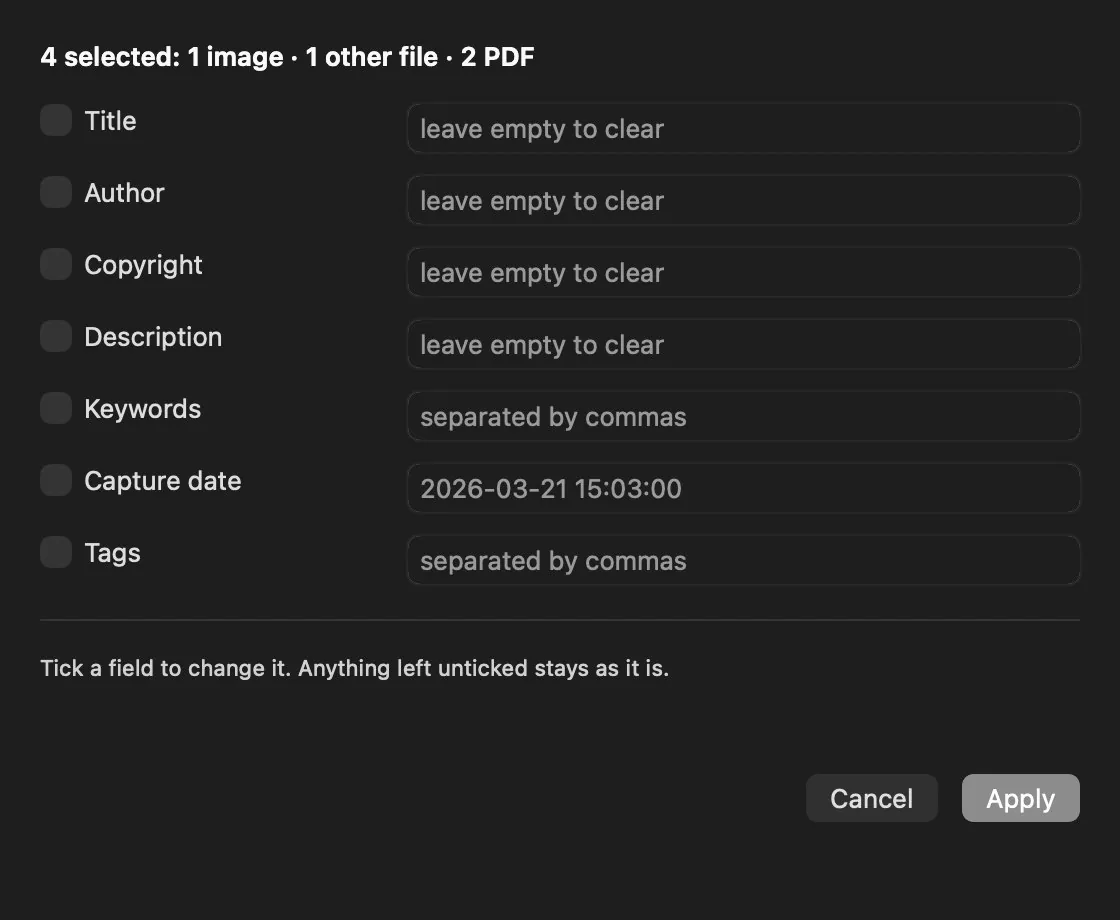 Metadata editor with four files of different kinds selected: fields for title, author, copyright, description, keywords, date and tags, each with its checkbox, and the notice that anything left unchecked stays as it is.