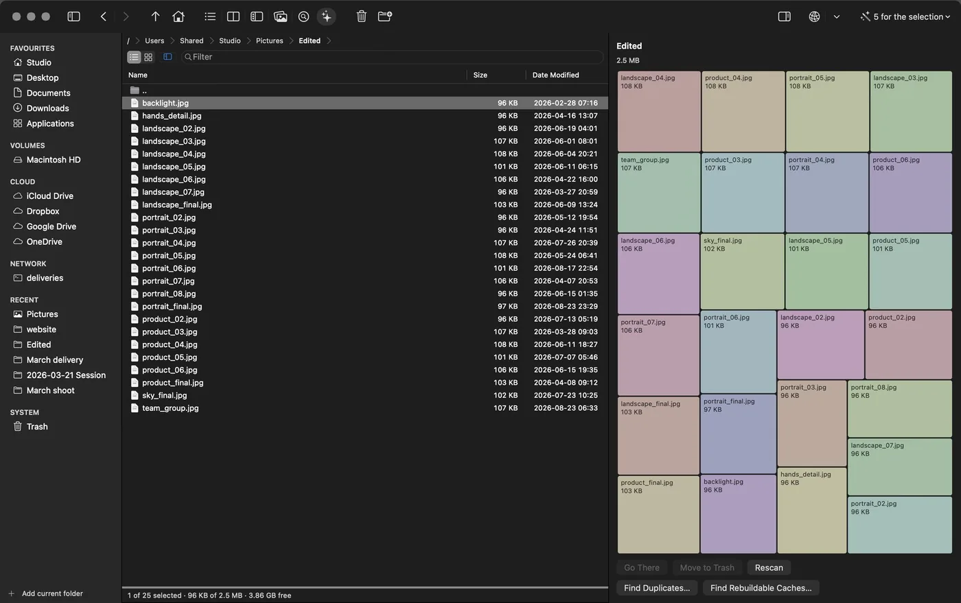 Cleanup mode: the folder's listing and, on the right, the map of what each file takes up.